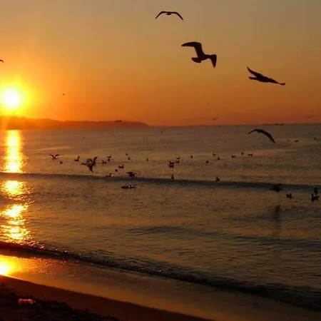 奥德索斯公寓 *